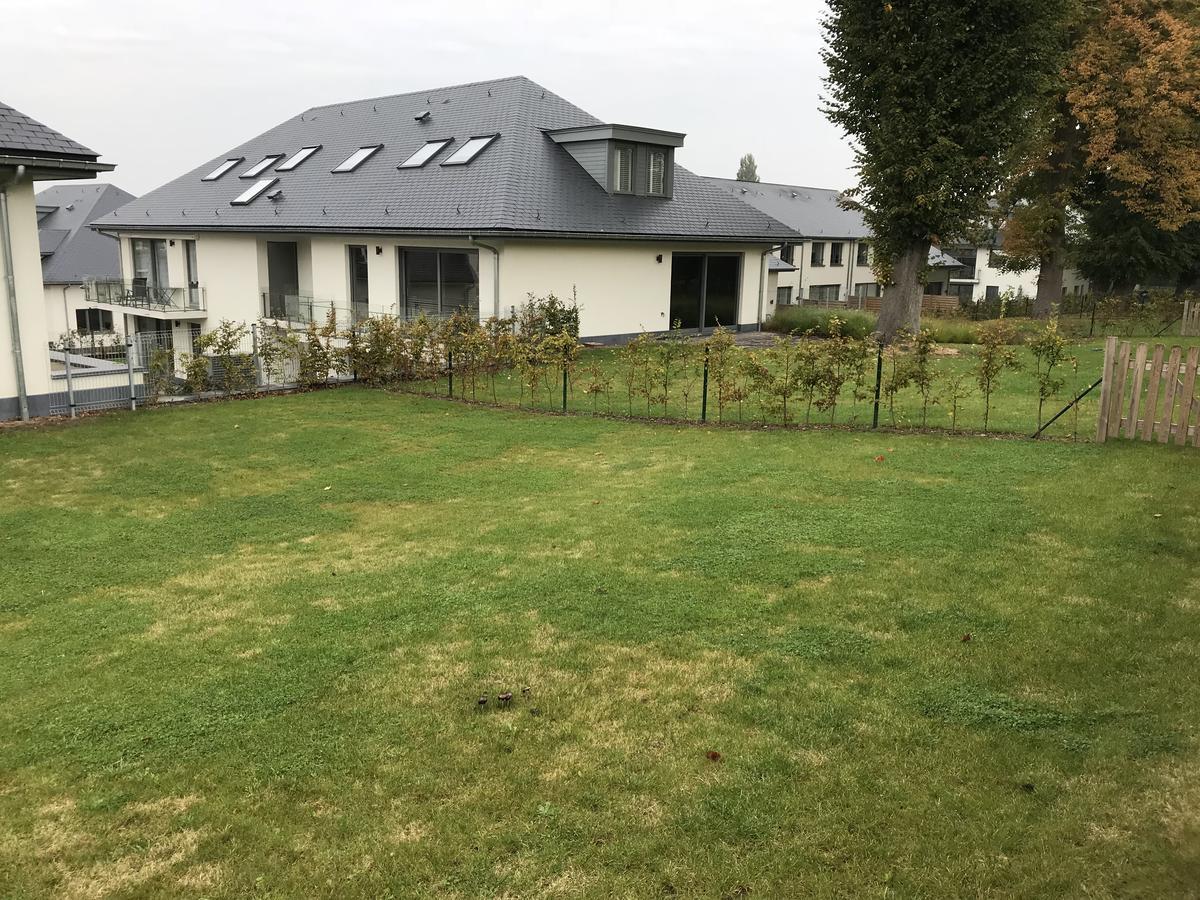 Bella Vita Inn Waterloo Eksteriør billede